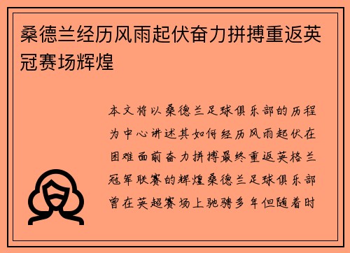 桑德兰经历风雨起伏奋力拼搏重返英冠赛场辉煌